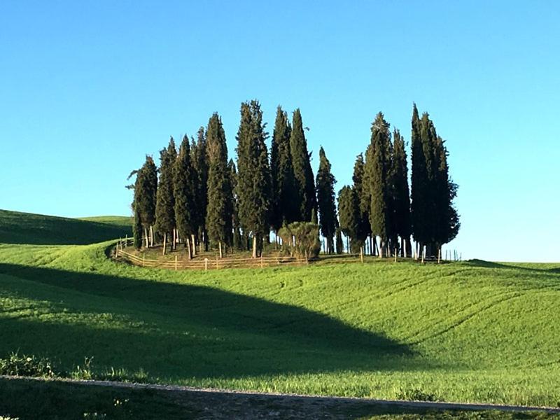 Camera La Margherita Сан-Куйрико-д'Орча Экстерьер фото